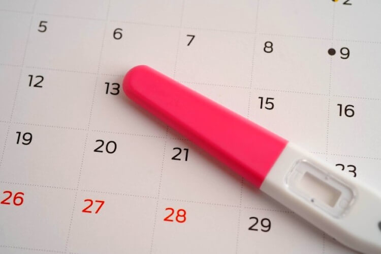 Pilules contraceptives pour les femmes du jour de l'ovulation