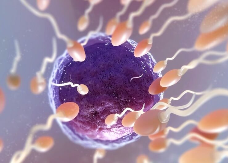 Est-il possible de tomber enceinte sans pntration ?